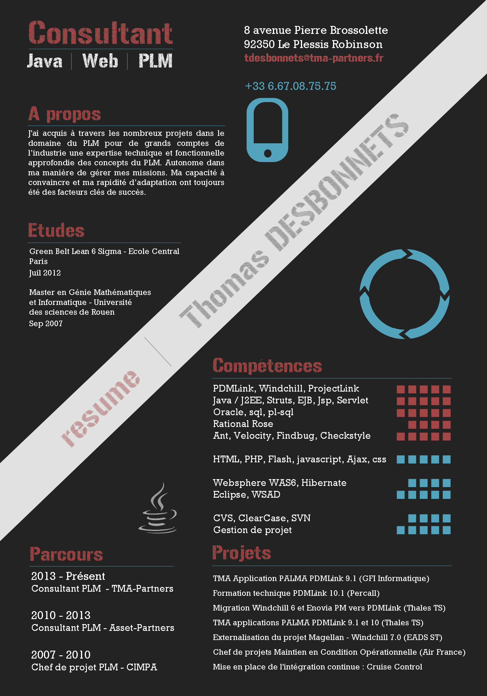 CV Thomas Desbonnets - Consultant